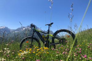 E-Bike Tour heute