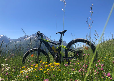 E-Bike Tour heute