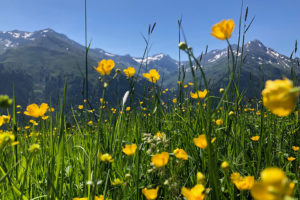 Traumhaftes Bergpanorama