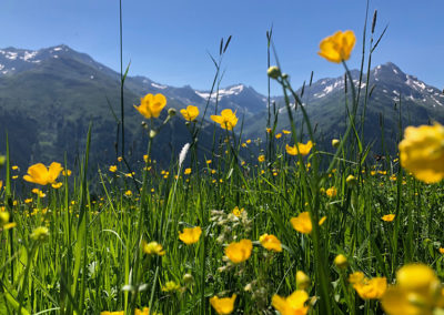 Traumhaftes Bergpanorama