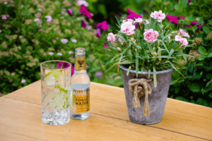 Sonnbichlbar-tonic-water
